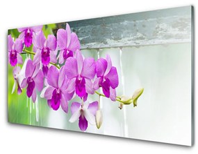 Akrilkép Orchideák Nature Csepp 100x50 cm 2 fogas