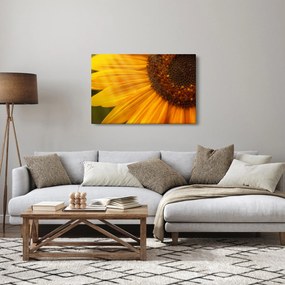 Kép - Napraforgók (90x60 cm)