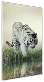 Üvegkép Fehér tigris osv-84071201
