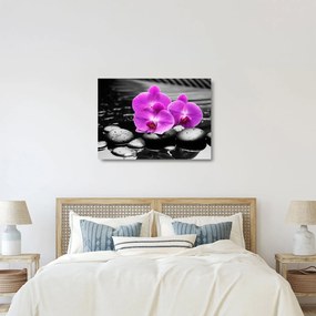 Üveg kép - Lila orchideák (70x50 cm)