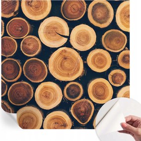 Dekoratív Öntapadós Tapéta Divatos Minták Fa körök 250x250 cm