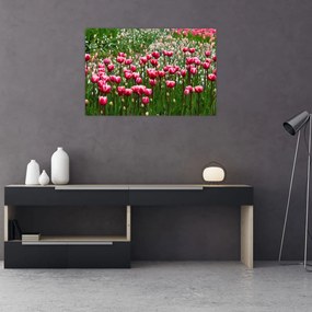 Tulipán képe (90x60 cm)