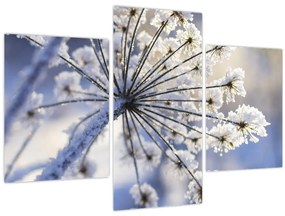 Kép - Fagyott virág (90x60 cm)