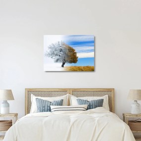 Kép - Évszakváltás (üvegen) (70x50 cm)