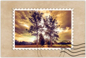 Poszterek 60x40 Vidéki tájkép úttal