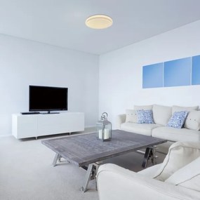 Rabalux 71183 - LED Mennyezeti lámpa TREVOR LED/24W/230V 3000K átm. 38 cm