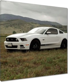 Vászonkép 80x80 Fehér Ford Mustang