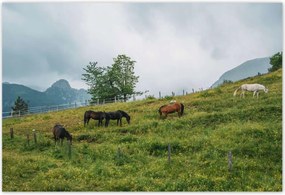 Poszterek 185x125 Tájképek Kilátások Tájképek