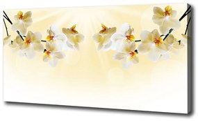 Egyedi vászonkép Orchidea oc-72852358