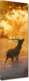 Vászonkép 40x100 Szarvas az erdőben