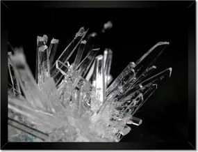 Poszterek keretben 40x30 Makrofotó MacroFoto