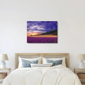 A levendula rét képe (70x50 cm)