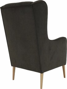 Kényelmes fotel, barna/bükk, BREDLY