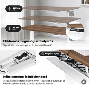 Elektromos, állítható magasságú, ergonomikus, fehér/dió íróasztal,1400x700 mm: ARIA