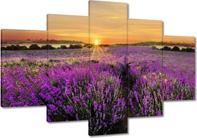 Vászonkép 120x80 Levendula Naplemente