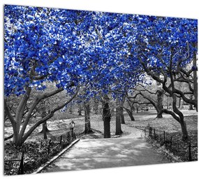 Kép - Kék fák, Central Park, New York (70x50 cm)