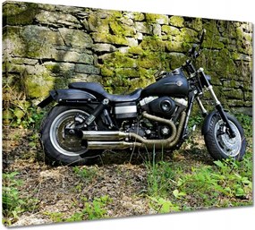 Vászonkép 50x40 Harley-val a kiránduláshoz