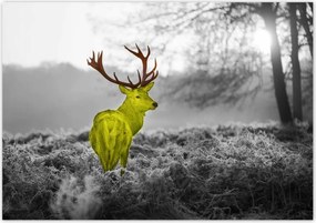Poszterek 100x70 Sárga szarvas Erdő Tájkép