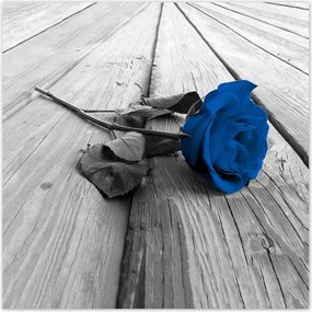 Poszterek 100x100 Kék rózsa a deszkákon