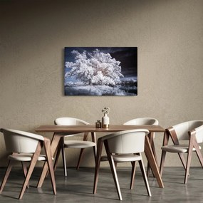 Kép - Hófehérke fa (90x60 cm)