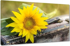 Vászonkép 120x70 Napraforgó a bőröndben