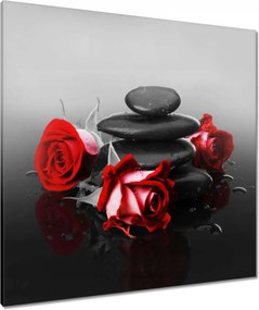 Vászonkép 90x90 Vörös rózsák Spa