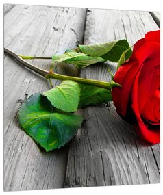 Piros rózsa képe (30x30 cm)