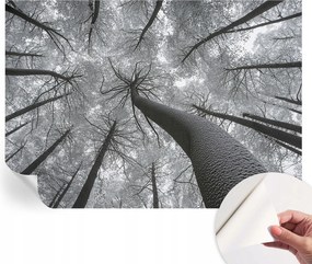 Öntapadós fotótapéta Nappali és Hálószoba Irodába Téli tájkép 312x219