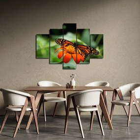 Pillangó képe a virágon (150x105 cm)