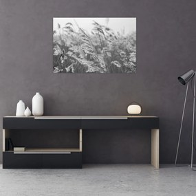 Kép - Fű a szélben (90x60 cm)