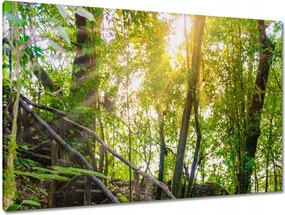 Képek 120x80 Gyalogtúra