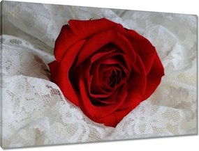 Vászonkép 90x60 Kedves ajándék a kedvesedtől