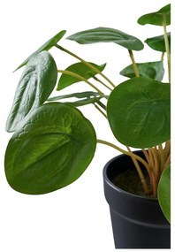 Műnövény (magasság 28 cm) Pelia – House Nordic