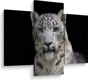 Kép - Snow Leopard (90x60 cm)