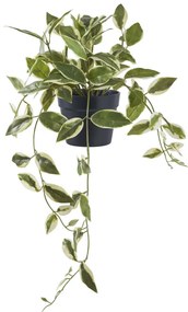Viaszvirág műnövény 33 cm