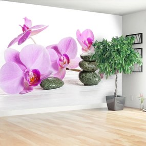 Fotótapéta orchidea Spa 104x70 cm