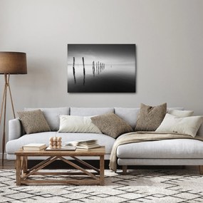 Egy fekete-fehér vízfelszín képe (70x50 cm)