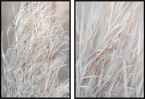 Poszterek fű boho finom diptichon 2db 40x50cm