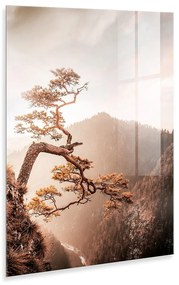 Üveg kép 50x70 cm Brown Tree – Styler