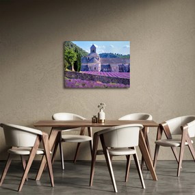 Kép - Levendula mező (70x50 cm)