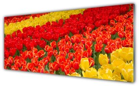 Akrilkép tulipán virágok 100x50 cm