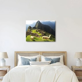 Kép - Machu Picchu (70x50 cm)