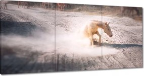 Vászonkép 180x90 Ló Lovak Lovaglás