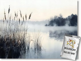 Fotótapéta Flizelina Tájkép Tó Fű Köd Reggel 152,5x104 ragasztó