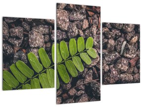 Zöld növények képe (90x60 cm)