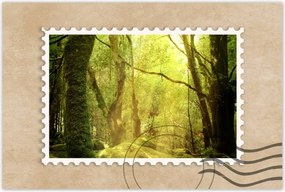 Poszterek 60x40 Varázslatos erdő Tájkép