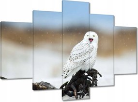 Képek 150x105 Madarak