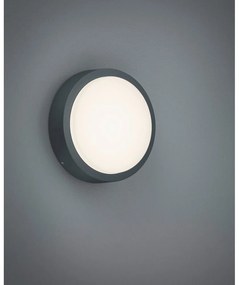 LED fali kültéri lámpa ø 20 cm Berg – Trio