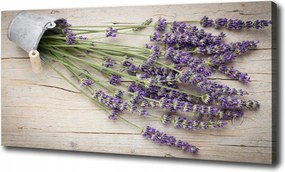Vászonkép Levendula cserépben 120x60 cm