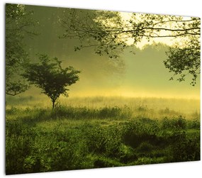 Kép - Ébredő erdő (üvegen) (70x50 cm)